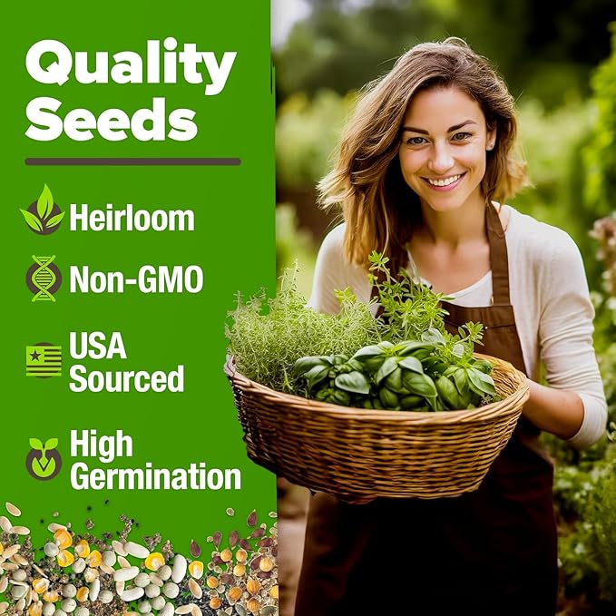 HOME GROWN 5 Herb Seeds for Planting 2,150+ Non-GMO Heirloom Seeds | Extra Large Variety Pack Herb Kit – Indoor Outdoor & Hydroponic | Culinary Seed Set | Grow Your Own Herbs | Gift for Beginners