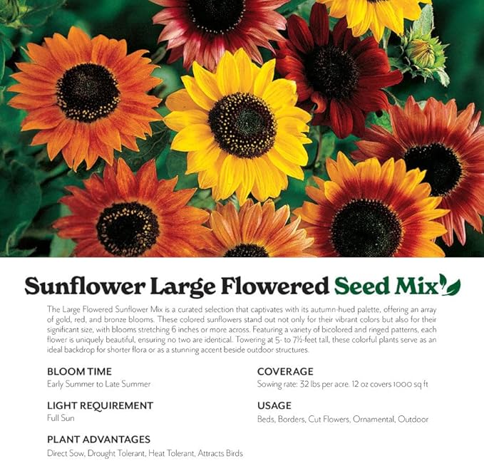 Grow Your Own Vibrant Annual and Perennial Wildflower Garden Seeds Mixture, Varieties for Pollinators and Spring Gardens - Large Colored Sunflower Mix, 1/4 lb