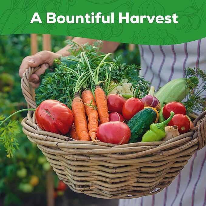 10 Vegetable Seeds Pack - Non GMO, Heirloom - Basil, Snap Pea, Broccoli, Bean, Jalapeño Pepper, Tomato, Lettuce, Cucumber, Carrot, Zucchini Seeds for Planting Home Garden