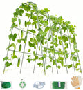 Cucumber Trellis for Raised Beds - Sturdy Arch Trellis for Peas, Beans & Climbing Plants | Outdoor Vegetable Support, Garden Trellis Kit (63" Lx30 Wx48 H)