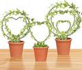 Hoya Trellis 3 Size Indoor Plants Flower Support Stakes Round or Heart Metal Trellis Set Garden Tool Accessories for Small Potted Vine Climbing Houseplants (BlackCH)