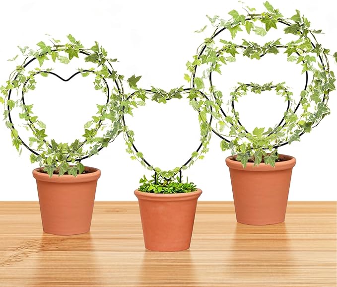 Hoya Trellis 3 Size Indoor Plants Flower Support Stakes Round or Heart Metal Trellis Set Garden Tool Accessories for Small Potted Vine Climbing Houseplants (BlackCH)