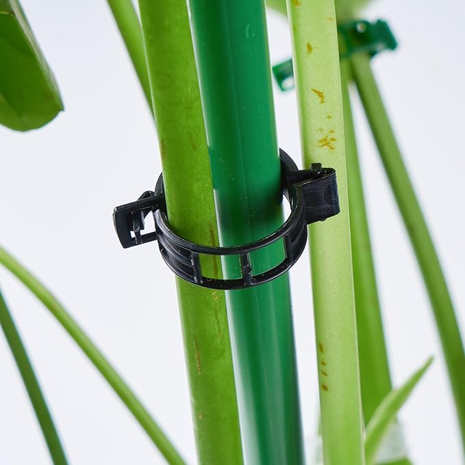 200Pcs Garden Vine Plant Support Clips,Plastic Fixing Clips for Securing and Training Climbing Plants,Tomatoes,Grapes,Vine Vegetables and Potted Plant (200, Black)