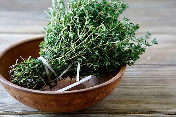 NIKA SEEDS - Seeds Herbs Thyme Garden Common Heirloom - 500 Seeds