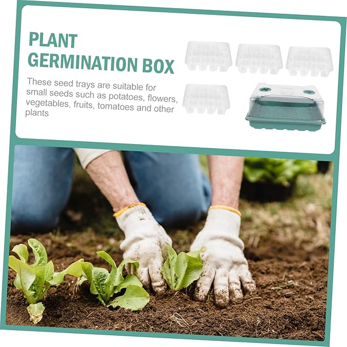 BESTonZON 1Set Plant Germination Box Durable Indoor Garden Propagating Trays with Design for Home Gardening Seed Starting Greenhouse Accessory