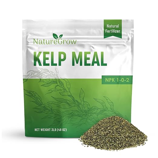 Kelp Meal 1-0-2 Natural Plant Food, Boost Plant Health and Yield! (2lb)