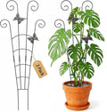 Plant Trellis Indoor Climbing Support - 2-Pack 30" Stackable Metal Garden Trelisses for Potted Monstera Hoya Pothos Vines - Rustproof Outdoor Gardening Gift for Plant Lovers