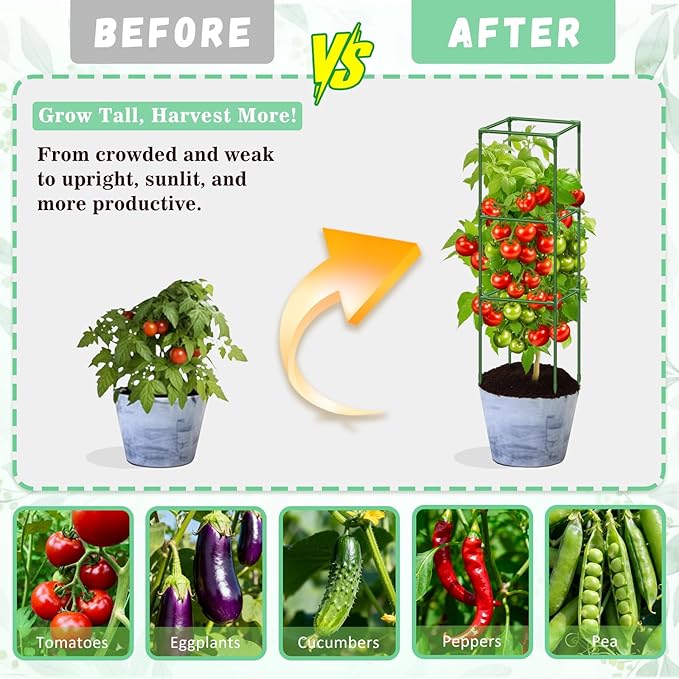 Riare 6 Pack Square Tomato Cages for Garden Plant Support- Up to 45 Inch Tomato Cage Garden Stakes Tomato Trellis for Potted Plants Raised Garden Bed Climbing Vegetables Flowers Outdoor Indoor