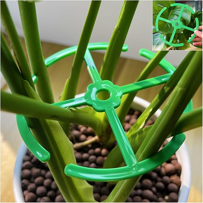 8 Pcs Plant Stem Support for Indoor Outdoor, Large 360-degree Different Sizes Monstera Support, Reusable Plastic Climbing Plant Stakes, Cages (Green)