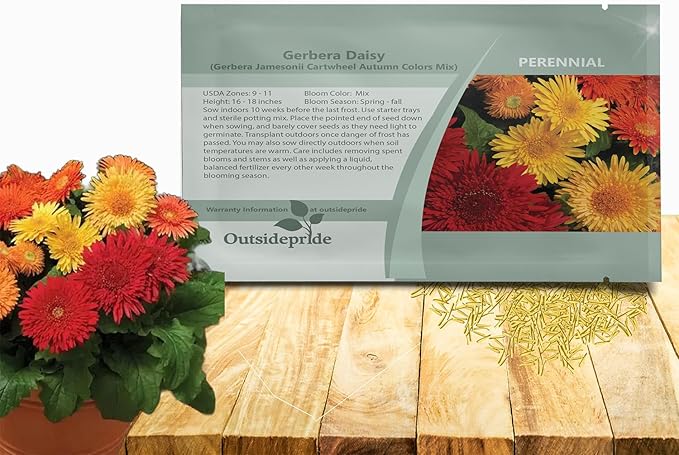 Outsidepride Autumn Colors Mix Gerbera Seeds - 20 Pcs Perennial, Compact & Low Maintenance, Flower Seeds for Planting w/Vibrant Mixed Blooms, Ideal for Garden Landscaping & Cut Flower Arrangements