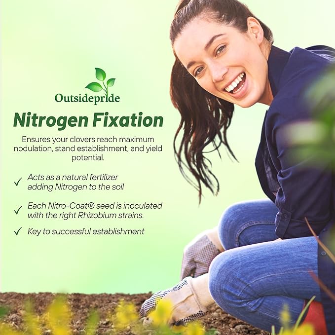 Outsidepride Yellow Sweet Clover Seed - 5 lbs Biennial, Drought-Tolerant, Frost-Resistant, Nitrocoated, Inoculated Yellow Clover Seeds Cover Crop for Forage, Honey Production, & Pollinators