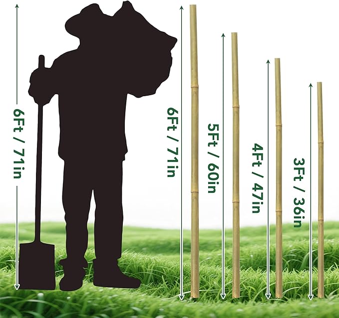 65 Pcs Bamboo Plant Stakes 5 Feet, Oltara Natural Bamboo Sticks Garden Stakes for Climbing Plants Support, Potted Plants, Vegetables, Tomatoes, Beans, Flowers, Trees