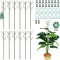 12 Pack Monstera Plant Support Stakes, 27.5 Inch Natural Looking Detachable Plant Stakes for Climbing Plants, Includes 16 Orchid Clips & 12 Twist Ties & 65ft Garden Tie Outdoor Indoor