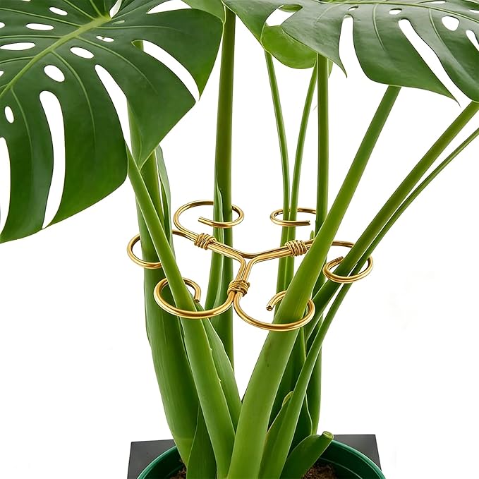 YAPROMO 4PCS Iron Monstera Plant Support - 4.1IN Plant Support Stakes for Indoor Plants, Plant Stakes and Supports, Ideal Plant stem Support for Turtle Shell Bamboo & Houseplants (A+B)