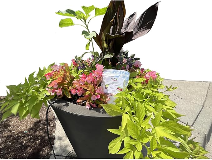 1 Pound Soil Moisture Trap Potassium Polyacrylate Polymers Soil Vigor