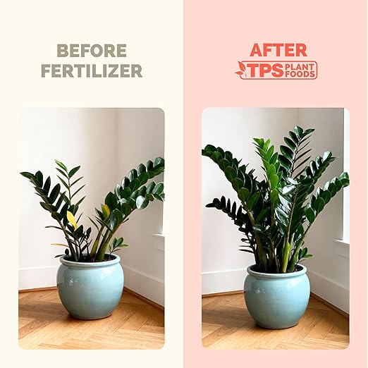 ZZ Plant Fertilizer – Liquid Plant Food for Glossy Green Leaves, Stronger Roots & Healthy New Growth, 32 oz
