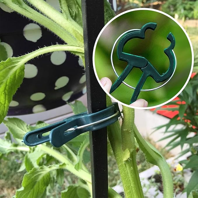 A Plant Clamp Used for Climbing Plants,Horticultural Clip Used to Support Climbing of Flower Stems, Vines, Vegetables, and Tomatoes,Vine Clip for Garden Vine Training (Green, 120big)