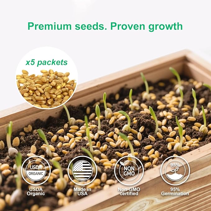 Cat Grass Kit for Indoor Cats, Complete with Rustic Wood Planter, Organic Wheat Grass Seed and Soil, Prevent Hairballs and Aid Digestion, Ideal Birthday Christmas Gift for Cat Lovers
