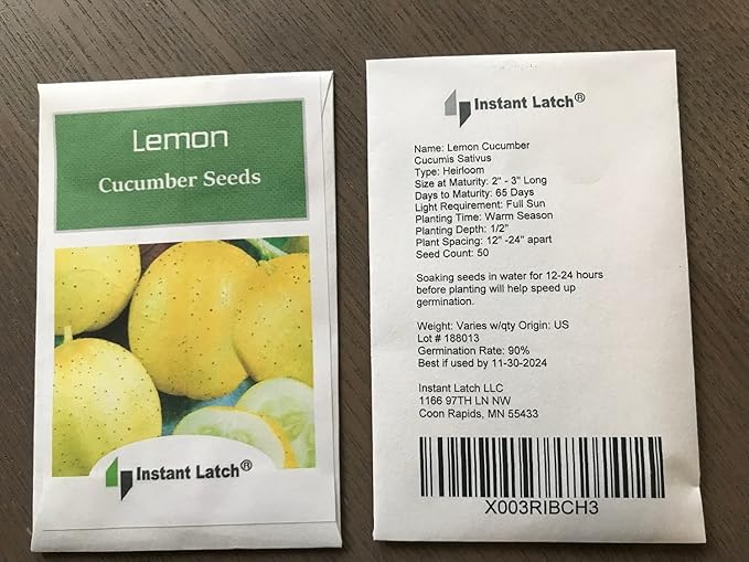 50 Lemon Cucumber Seeds for Planting Non GMO Heirloom Seeds Fresh Garden Seed