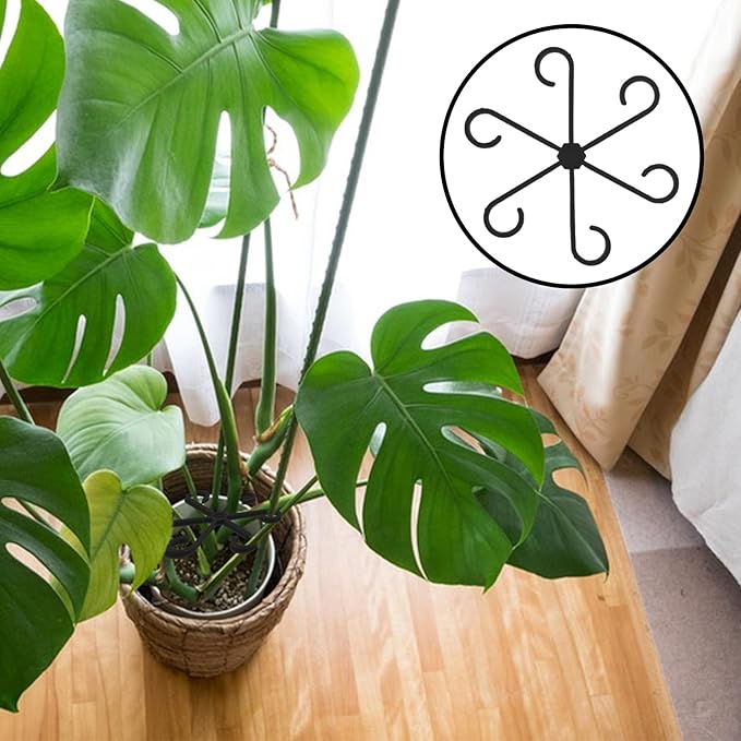 4 PCS Plant Stabilizer for Indoor Plants, 4 Sizes Climbing Houseplant Stem Support, Plastic Plant Climbers Stem Holders Reusable Climbing Plants Stakes for Indoor Outdoor Growth Accessories (Black)