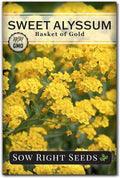 Sow Right Seeds - Sweet Alyssum Basket of Gold Flower Seeds for Planting - Perennial Garden Flowers - Easy to Grow Fragrant Blooms - Ideal for Borders and Containers - Attract Pollinators (1)