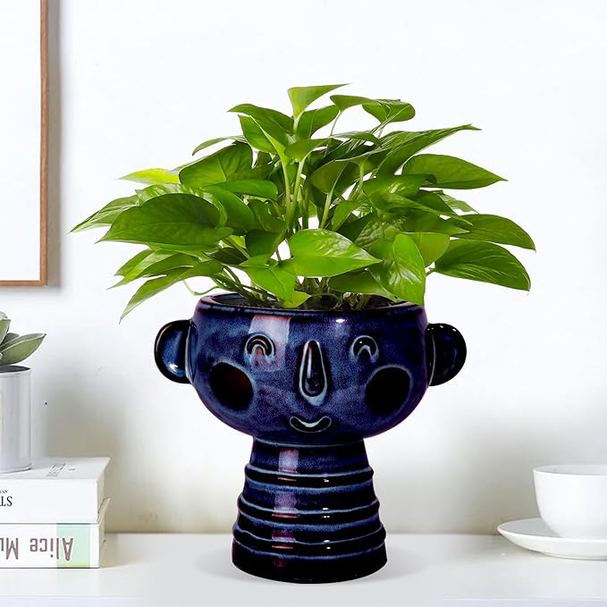Planter, Ceramic Cute Face Flower Pot Head, Indoor Outdoor, Drainage Hole, 7x5x6 inches, Light Blue