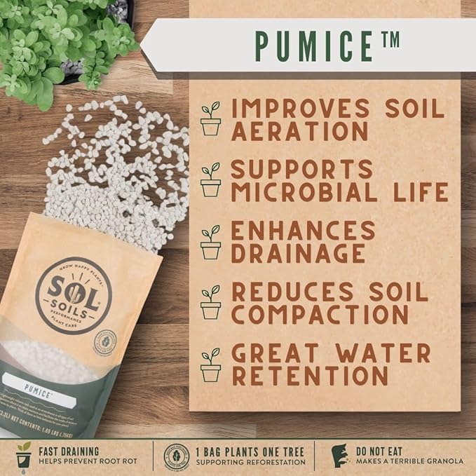 Sol Soils Horticultural Pumice - Lightweight, All-Natural Volcanic Rock Soil Amendment to Improve Drainage, Aeration & Maintain Moisture Balance – Filtered 3/8" to 1/4" - 1 Quart