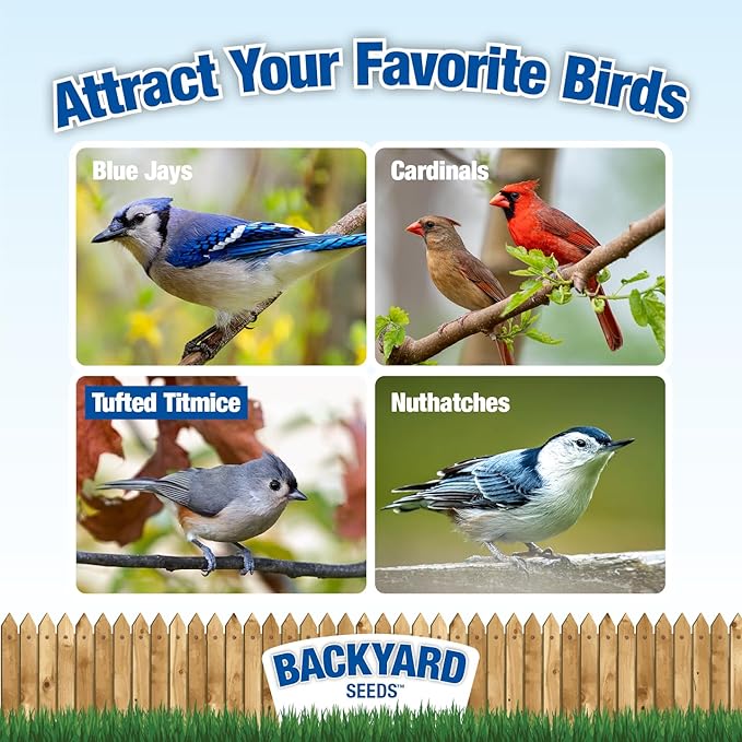 CountryMax Backyard Seeds No Waste Back Deck/Porch/Patio Bird Seed Blend (5 Pounds)