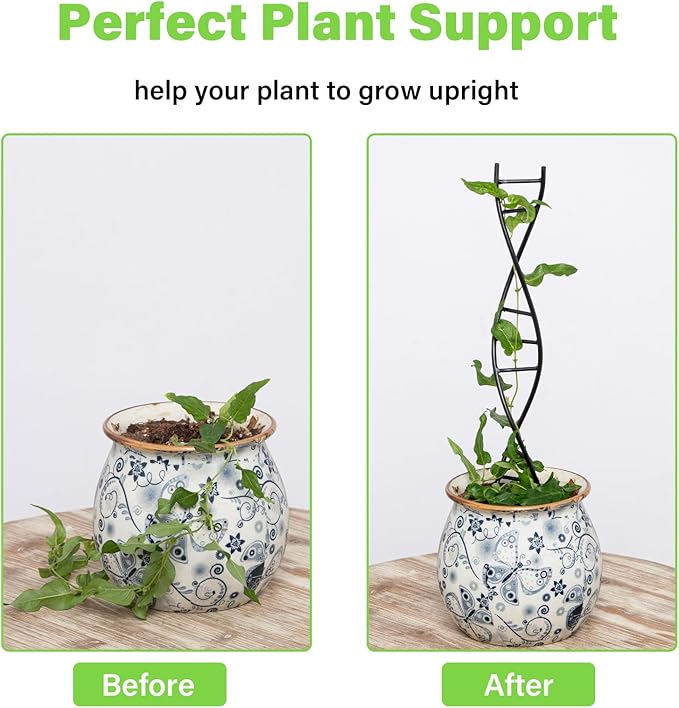 3 Pcs Indoor Plant Trellis Set - Black Metal DNA Design for Potted Plants, Small Houseplants & Climbing Support - Modern Home Decor & Vertical Garden Display - Perfect for Indoor & Outdoor Use