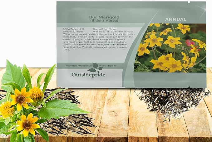 Outsidepride Perennial Bur Marigold Hannay's Lemon Drop Seeds - 1000 Pcs. Heirloom, Self-Sowing, Drought-Tolerant Flower Seeds, Pollinator-Friendly, for Vibrant Blooms, Low-Maintenance Summer Gardens