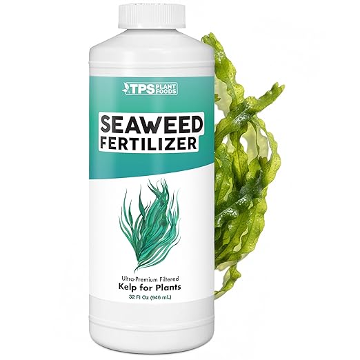 Seaweed Fertilizer – Organic Kelp Plant Food for All Plants, Boosts Nutrient Uptake for a Lush, Vibrant Garden, 32 oz