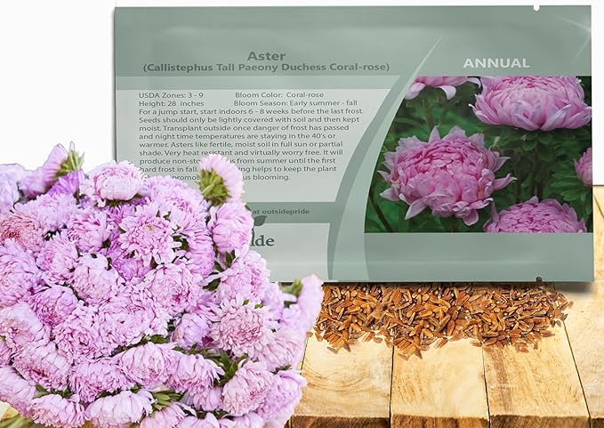 Outsidepride Paeony Aster Seeds - 1,000 Pcs Annual, Hardy & Pollinator Friendly Flower Seeds for Planting Vibrant Double Incurved Coral-Rose Petals, Ideal for Meadows & Aesthetic Gardens