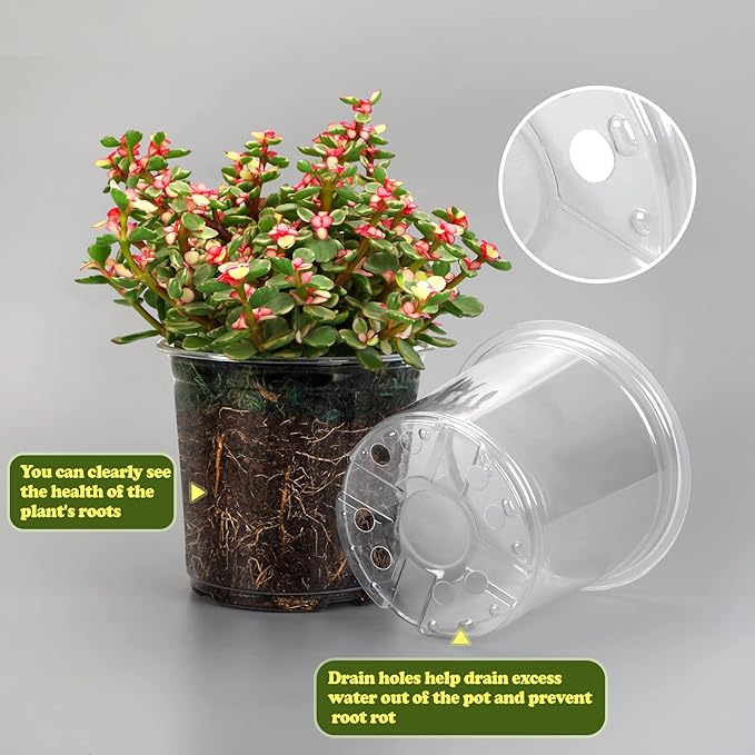 RAOOKIF 25 Pack 5 Inch Clear Nursery Pots with Drainage Holes, Flexible Plastic Nursery Pots for Plants, Durable Garden Flower Pot, Seed Starter Pots