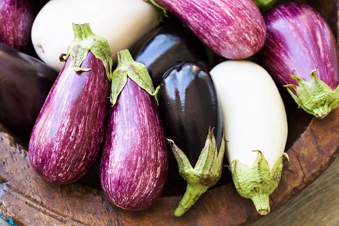 Seeds Eggplant Long Mix- Heirloom Vegetable - GMO Free