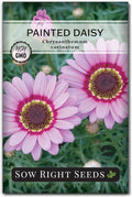 Sow Right Seeds - Painted Daisy Seeds for Planting - Non-GMO Heirloom Seeds Packet with Instructions - Wonderful Pink Blooms to Attract Pollinators - Cut and Come Again - Rare and Attractive (1)