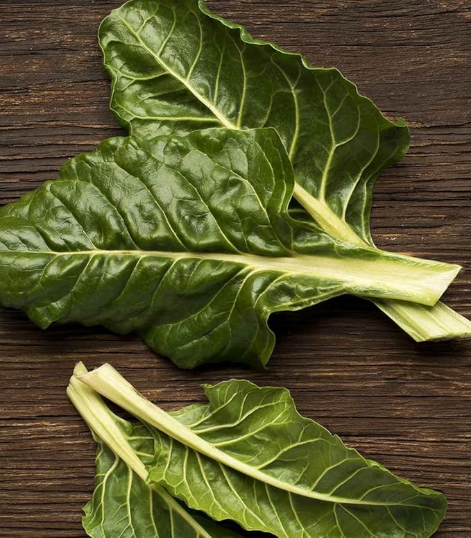 100 + Pcs Seeds Swiss Chard Collection for Planting - Individual Packets of Red Ruby Swiss Chard & Perpetual Spinach Swiss Chard - Non-GMO Heirloom (Perpetual Spinach Swiss Chard)