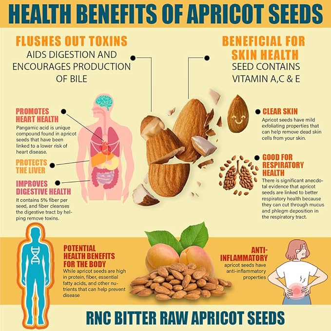 Richardson Nutritional Center Fresh Raw Bitter Apricot Seeds - California Grown Kernels with Amygdalin, B Vitamins, Minerals, Protein - Lab Tested, Vegan, No Gluten or GMO - 8oz Bag