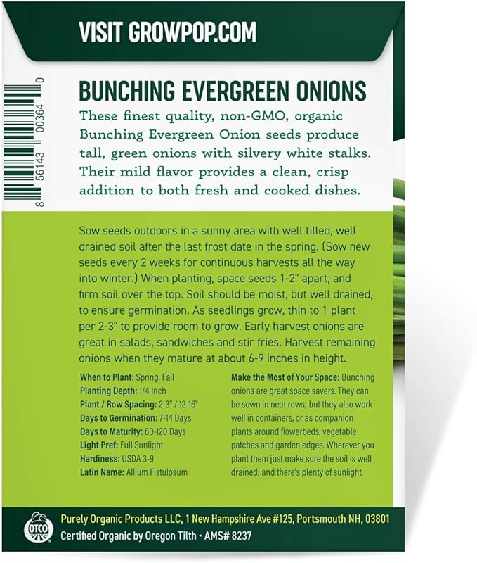 Organic Onion Seeds (Bunching Evergreen) - Approx 200 Seeds - USDA Organic, Non-GMO, Open Pollinated, Heirloom, USA Origin