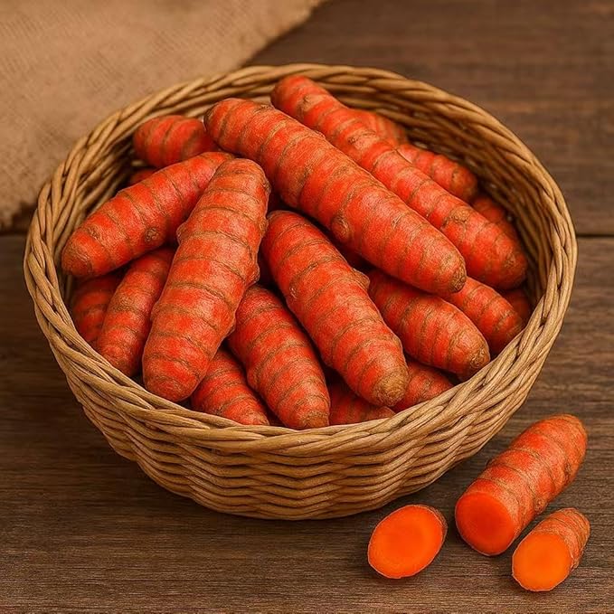 Fresh Turmeric Root, 1 lb – Premium Fresh Harvest for Cooking or Planting, Aromatic Non-GMO Rhizomes, Warm Earthy Flavor for Tea, Smoothies, Curry & Home Gardens