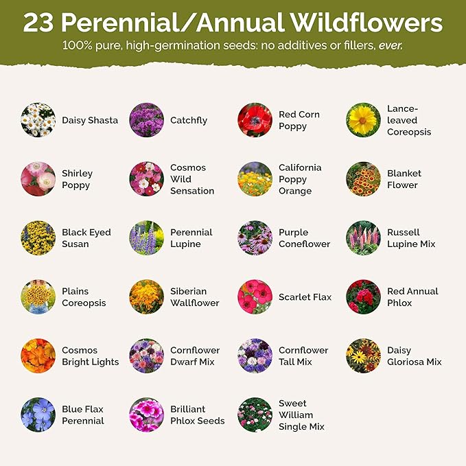 Eden Brothers Vermont Wildflower Mixed Seeds for Planting, 1/4 lb, 120,000+ Seeds with Cosmos, Cornflower | Attracts Pollinators, Plant in Spring or Fall, Zones