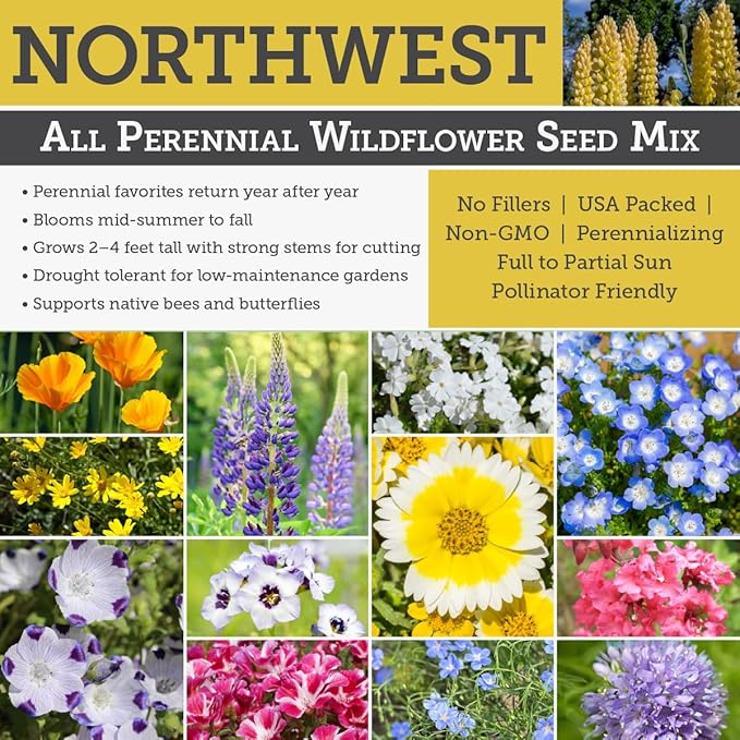 Willard & May Northwest All Perennial Wildflower Seed Mix, Cool Climate Flowers for Full Sun, 125,000+ Bulk Flower Seeds, 14 Varieties, Pollinator Friendly, Plant in Spring or Fall (1/4 Pound)