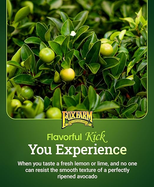 FoxFarm Happy Frog Citrus and Avocado Fertilizer- OMRI Listed Citrus Fertilizer, Slow-Release Nitrogen, Calcium & Sulfur for Citrus & Avocado Trees - 4 lb
