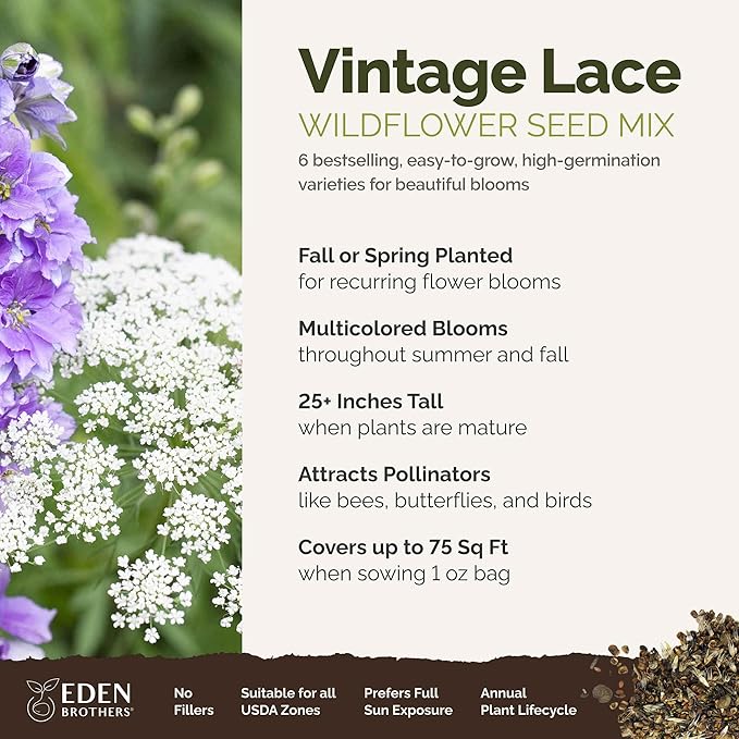 Eden Brothers Vintage Lace Flower Mixed Seeds for Planting, 1 oz, 30,000+ Seeds with Cosmos Gloria, Bishop's Flower, Snapdragon, Attracts Pollinators, Plant in Spring, Zones 3, 4, 5, 6, 7, 8, 9, 10