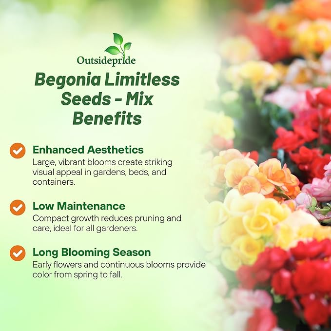 Outsidepride Mix Limitless Begonia Seeds for Planting - 50 Pcs Perennial Flower Seeds with Large Blooms, Arching & Pendulous Growth Habit, for Containers, Hanging Baskets, or Landscape Plantings