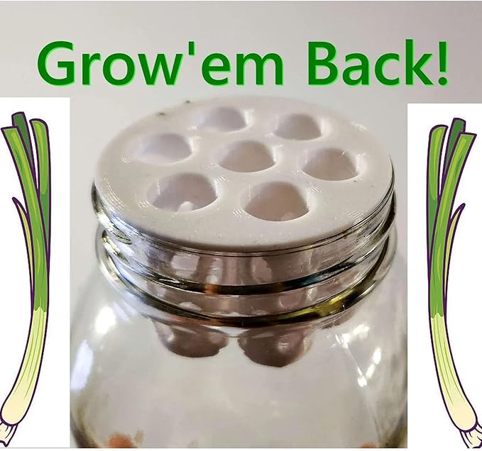 Green Onion Grow for Mason Jar Lid of 6cm,Minimal Kitchen Garden Propagation Station,3D Printed Easy Hydroponic Insert White