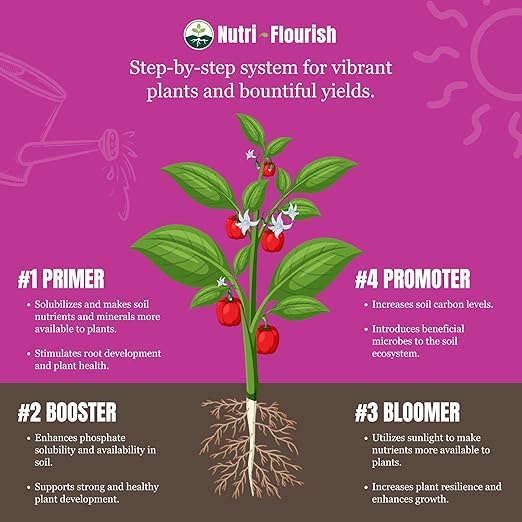 Bloomer - Liquid Plant Enhancer | Natural Garden Soil Fertilizer | Biological Nutrients for Gardening & Potting | Photosynthetic Bacteria to Boost Flowering and Fruiting Plants, 16 Oz