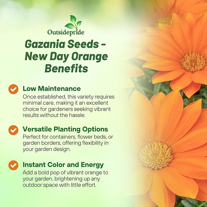 Outsidepride New Day Orange Gazania Seeds for Planting – 50 Pcs Perennial, Low-Maintenance, Drought-Tolerant Ground Cover Seeds for Vibrant Summer & Fall Flowers, Great for Outdoor Gardens