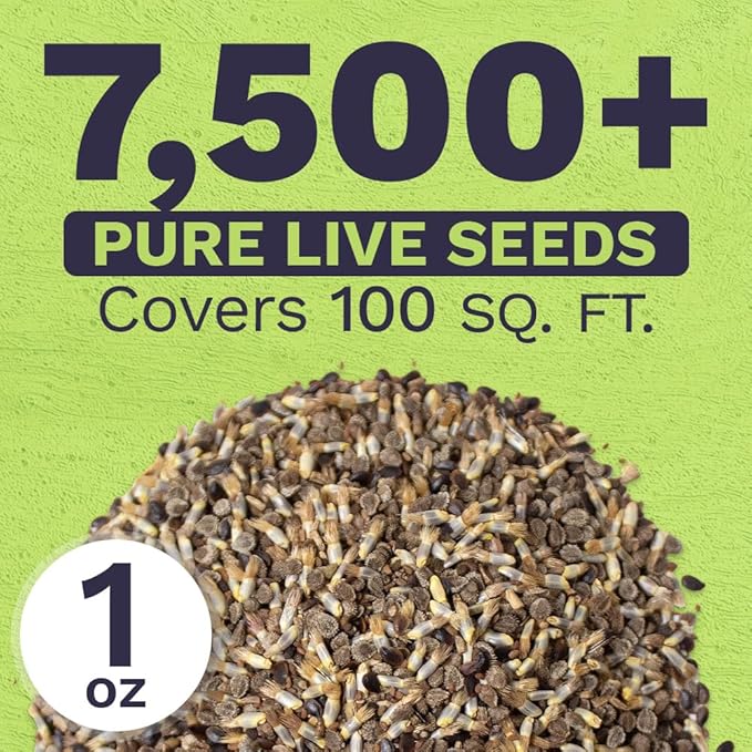 All Blues Wildflower Seeds Mix - Large 1 Ounce Packet - Over 7,500 Annual and Perennial Flower Seeds