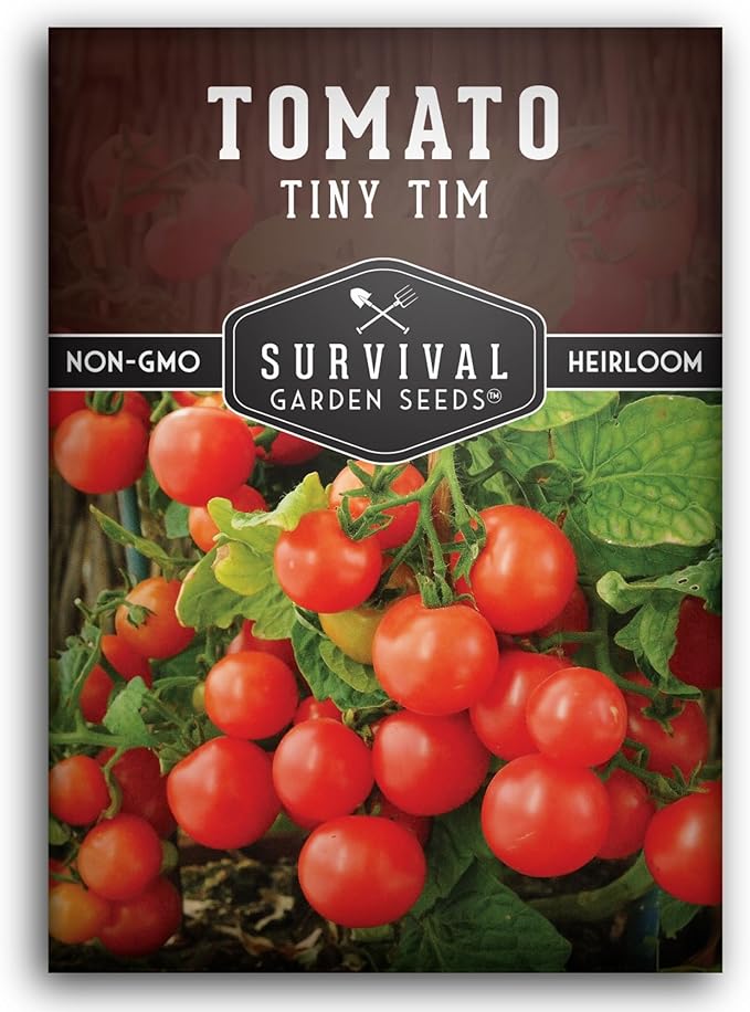 Tiny Tim Tomato Seeds - Dwarf Cherry Tomatoes for Planting Indoors or Patio, Compact Heirloom Variety for Containers, High Yield, Non-GMO - Survival Garden Seeds (1 Pack)