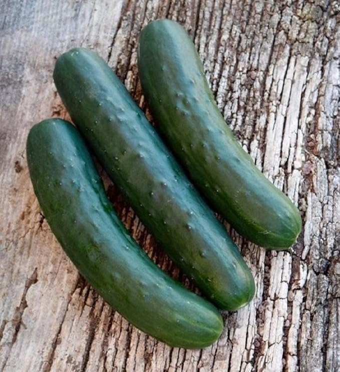 Vegetable Garden Seeds for Planting - Grow Heirloom Vegetables (Marketmore Cucumber)